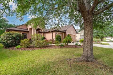 3048 NEW HAVEN PLACE, MOUNT DORA, FL 32757