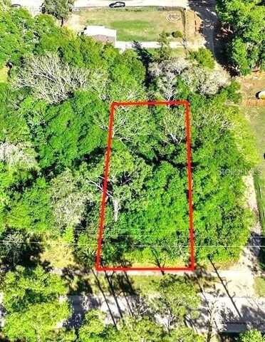 44126 SPRING CREEK ROAD, PAISLEY, FL 32767