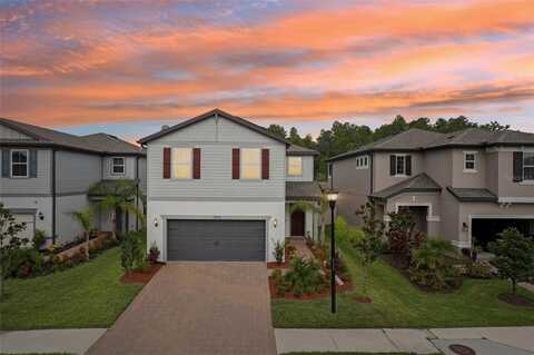 10815 WINDSWEPT GARDEN WAY, TAMPA, FL 33647