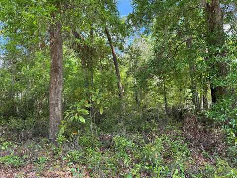Tbd SW CLEARWATER COURT, DUNNELLON, FL 34431