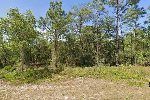 00 SW MARINE BOULEVARD, DUNNELLON, FL 34431