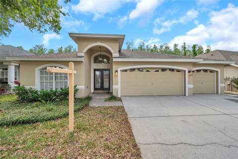19728 MORDEN BLUSH DRIVE, LUTZ, FL 33558