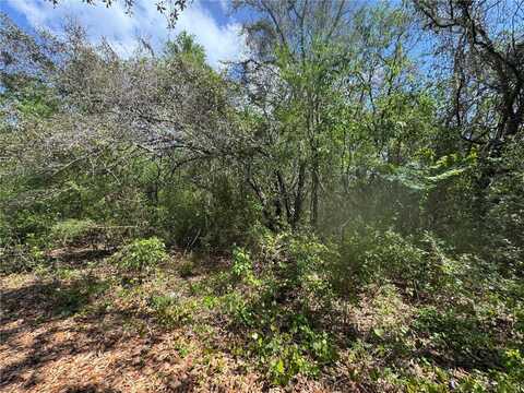 CASAURINA ROAD, LADY LAKE, FL 32159