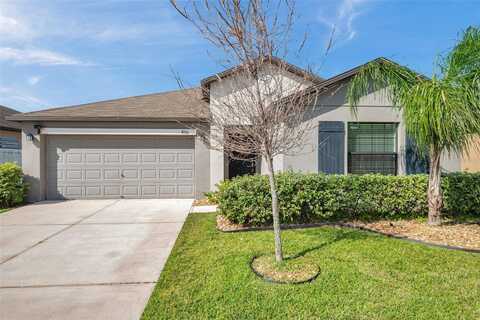 4201 GLOBE THISTLE DRIVE, TAMPA, FL 33619