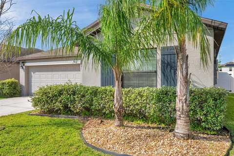 4201 GLOBE THISTLE DRIVE, TAMPA, FL 33619