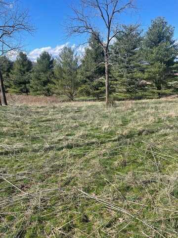 Lot41-42 Fountain Springs, PETERSTOWN, WV 24963