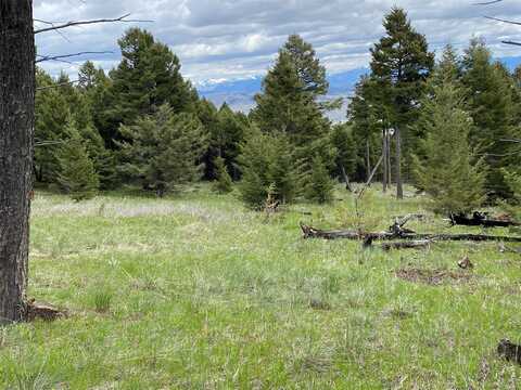 6750- 4a Turk Road, Helena, MT 59602