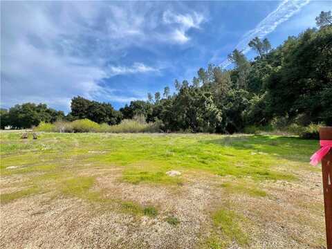 6245 Parkhill, Santa Margarita, CA 93453