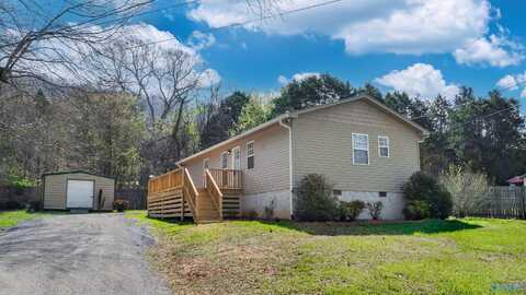 43 5th Avenue, Valley Head, AL 35989