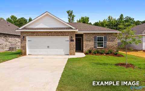 309 Cherokee Glen Avenue, Toney, AL 35773