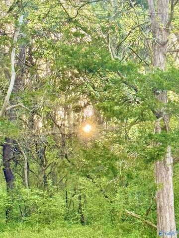 4.94 Acres Lyons Road, Decatur, AL 35603