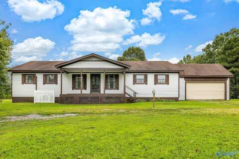 2247 Bethleham Road, Horton, AL 35980