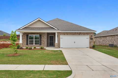 217 Pine Island Avenue, Toney, AL 35773