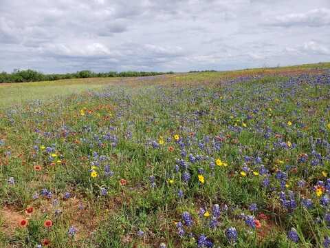 TBD SH 70, Sweetwater, TX 79556