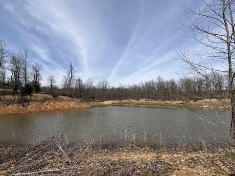 1212 MILL CREEK CIRCLE, Salem, AR 72576