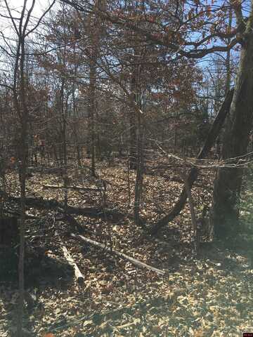 242 TUSCON LANE, Viola, AR 72583
