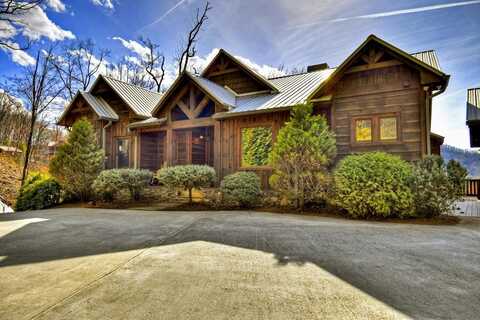 265 Covered Bridge Lane, Cherry Log, GA 30522