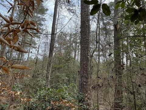 10-23-1 Gaston Rd Road, Spearsville, LA 71277