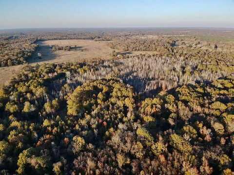 Tbd FARM ROAD 2120, Bagwell, TX 75412