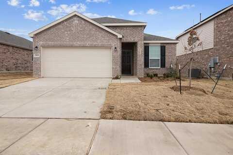 804 Cormorant Street, Princeton, TX 75407