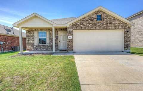 1601 Fields View Drive, Anna, TX 75409