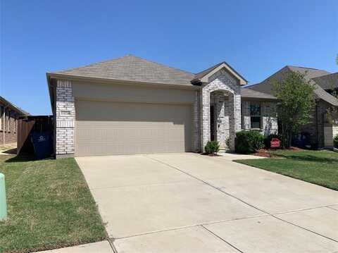 11413 Alpine Springs Drive, Aubrey, TX 76227