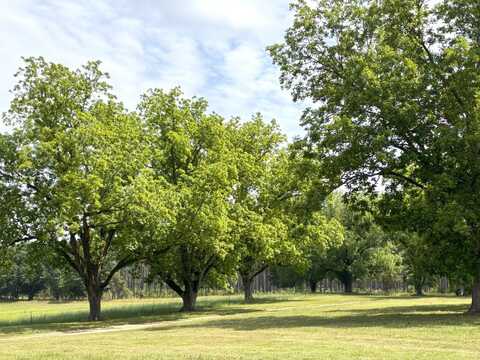 343 Jerusalem Rd, Clio, AL 36017