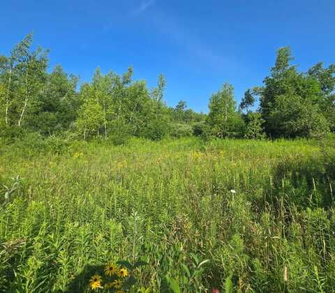00 County Route 15, LaFargeville, NY 13656