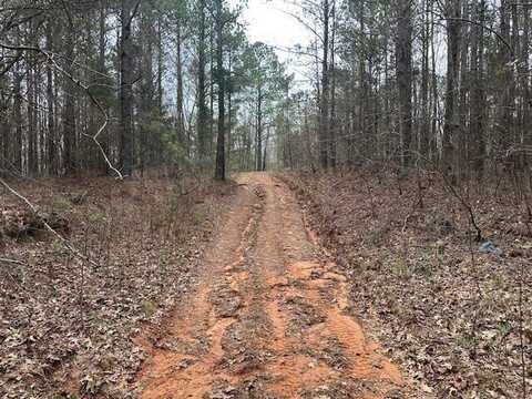 0 Moores Mill Road, Belmont, MS 38827