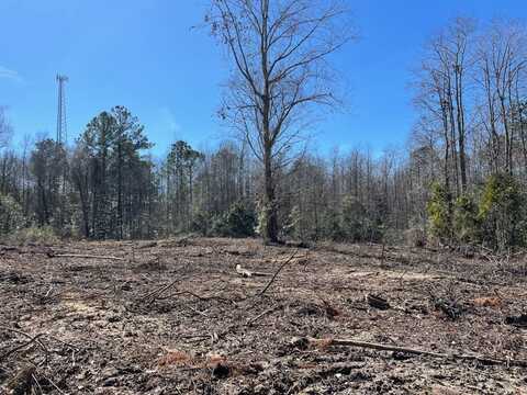 TBD Grays Highway, Ridgeland, SC 29936