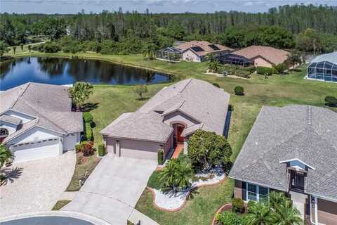20721 NECTARINE PLACE, LAND O LAKES, FL 34637