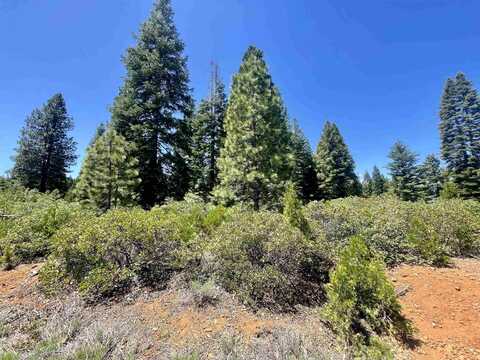 240 Walsh Court, Lake Almanor, CA 96137