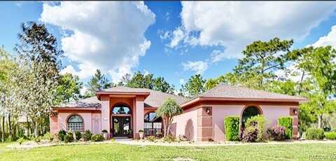1 Dracaena Court, Homosassa, FL 34446