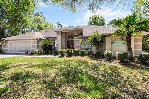 20 Matricaria Court, Homosassa, FL 34446