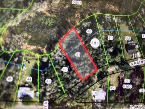 4780 S Rainbow Drive, Inverness, FL 34452