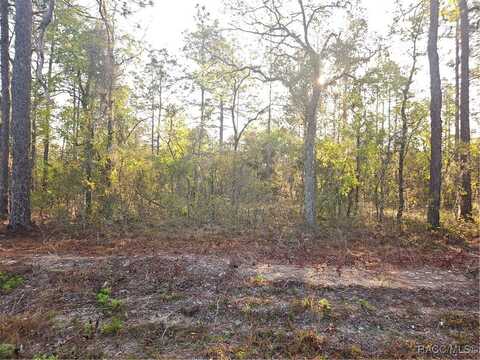 Lot 28 NW Ridgewood Drive, Dunnellon, FL 34431