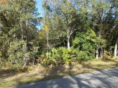 3055 W VIKING Lane, Citrus Springs, FL 34433