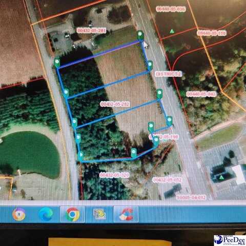 TBD S GEORGETOWN HIGHWAY, JOHNSONVILLE, SC 29555