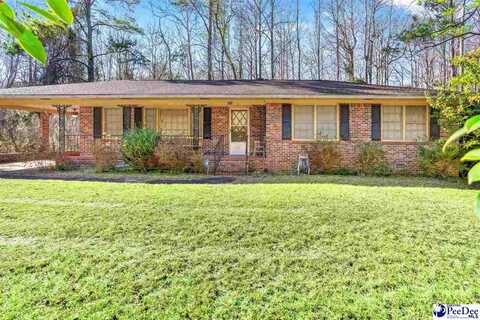 3592 S Island Rd, Georgetown, SC 29440