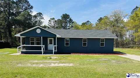 2771 Chippenham Rd., Marion, SC 29571