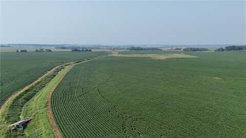 Tbd County 61, Browerville, MN 56438