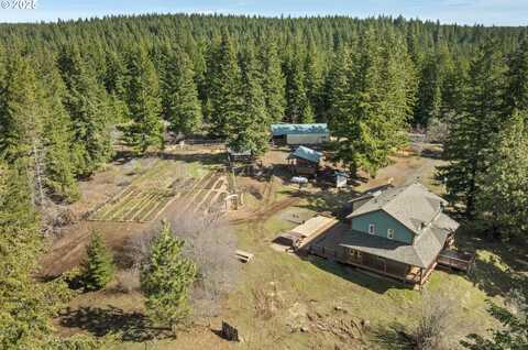 20 SILVA CUTOFF RD, Lyle, WA 98635