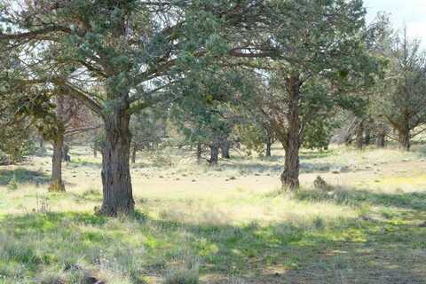 Unit 9-1 Lot 16 Wildhorse, Weed, CA 96094