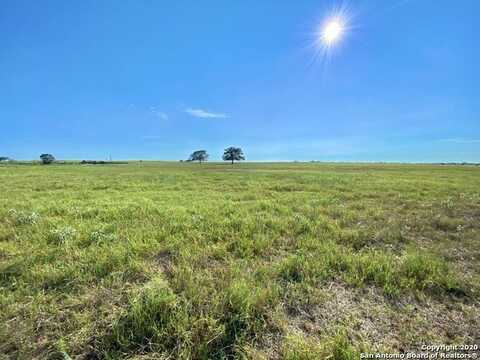 10.01 Ac 785 CR 305, Floresville, TX 78114