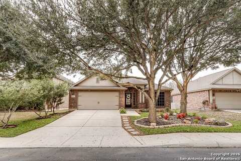 8439 Painted Wagon, San Antonio, TX 78254