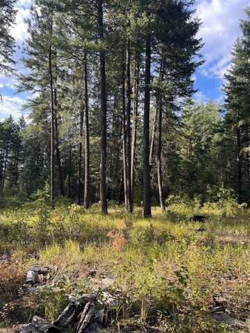 42xx Bussard Lake Rd, Loon Lake, WA 99148