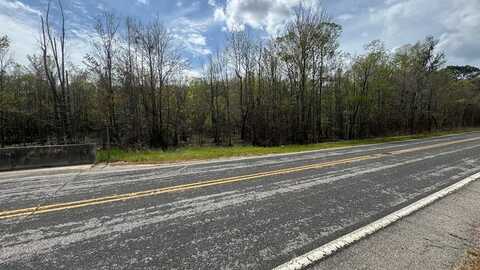 TBD Brewer Road, Manning, SC 29102