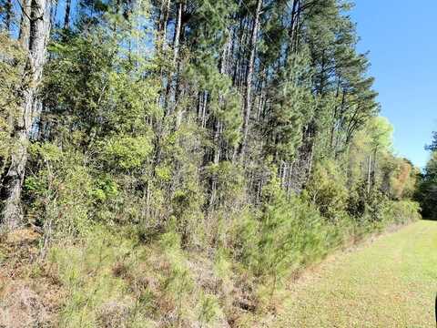 0 Lot 21 Ned's Cove, Santee, SC 29142