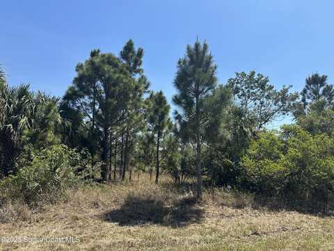 0 Firebrand Street SW, Palm Bay, FL 32908
