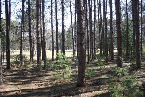 On Pine Grove Circle, Minocqua, WI 54548